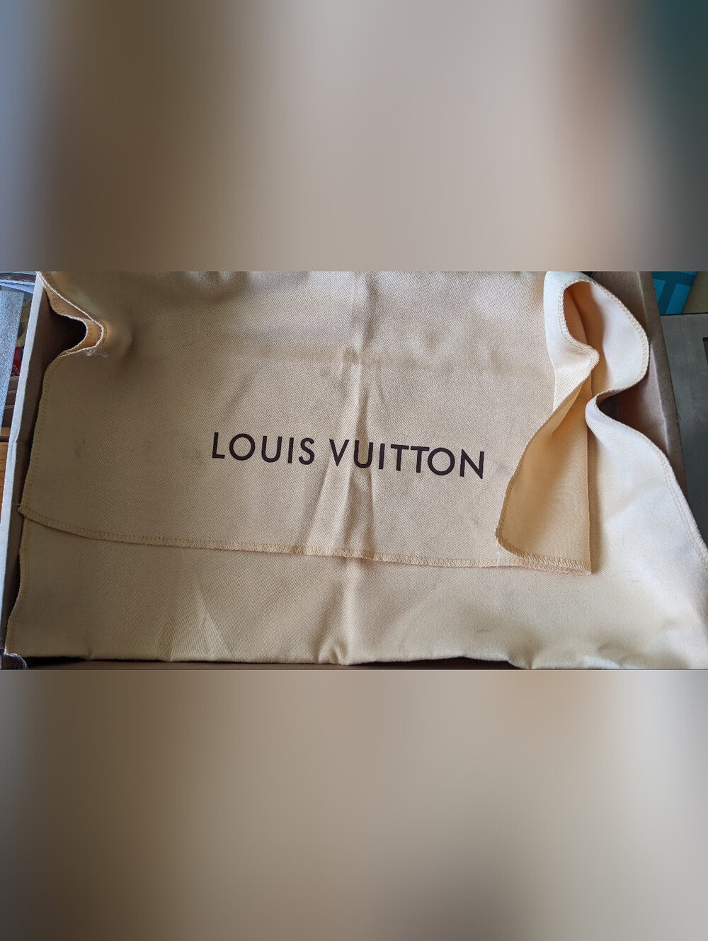Louis Vuitton Tan Logo Dust Bag